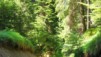 Frioul_07_Tarvisio_001.jpg