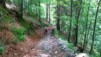 Frioul_07_Tarvisio_002.jpg