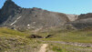 La face que je viens de dévaler sous les Becs de Bosson au départ du col de Tsavolire sur un single très rocailleux demandant une concentration extrême avec un final ludique dans des pâturages sauvages. GRC_07_18.jpg
