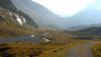 Gemmi_07_25.jpg