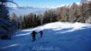 Gitzitotz_005