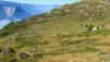 Goppenstein-Kandersteg_011.jpg