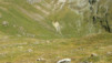 Goppenstein-Kandersteg_020.jpg