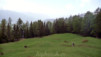 Gorges_de_la_Tieche_0015.jpg