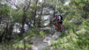 Gorges_de_la_Tieche_0020.jpg