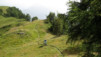 Grand_Garde_029.jpg
