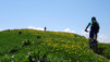 Grand_Garde_2013_030