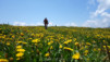 Grand_Garde_2013_031