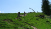Grand_Garde_2013_034