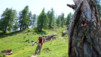 Grand_Garde_2013_036