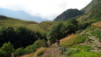 Grd-St-Bernard_005.jpg