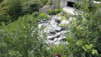 Grd-St-Bernard_014.jpg