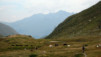 Grd-St-Bernard_021.jpg
