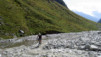Gredetschtal_012.jpg