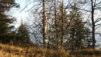 Grenchenberg_05-013.jpg