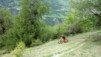 Herens_14_016