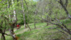 Herens_14_019