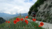 Herens_2010_002
