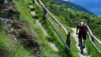 Herens_2010_003