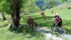 Herens_2010_010