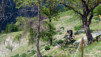 Herens_2010_011