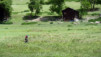 Herens_2010_015