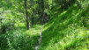 Herens_2013_012