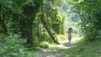 Herens_2013_018