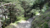 Herens_Borgne_08_022.jpg
