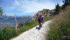 Herens_Classic_0001