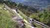 Herens_Classic_0002