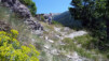 Herens_Classic_0011