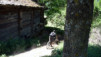 Herens_Classic_0012