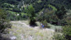 Herens_Classic_0017