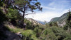 Herens_Classic_0020