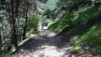 Herens_Classic_0023
