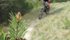 Hohe_Bruecke_004