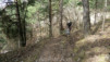 Hohe_Bruecke_005