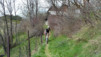 Hohe_Bruecke_008