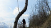 Hohe_Bruecke_009