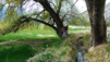 Hohe_Bruecke_020