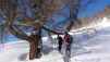 Horlini_015