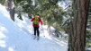Horlini_038