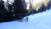 Horlini_Albinen_002