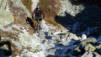 Hotel_Weisshorn_11_010