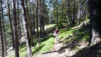 Illsee_09_004