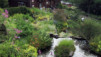 JardAlpin_Champex_Juillet_003.jpg