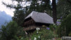 JardAlpin_Champex_Juillet_004.jpg