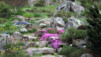 JardAlpin_Champex_Mai_003.jpg