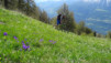 JeizAlbi_Nen_14_008